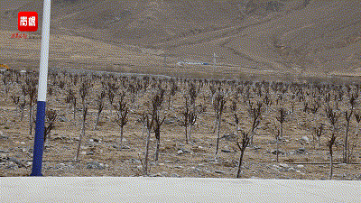 http://tb.tibet.cn/tb/news/jdtp/202006/W020200604652484212319.gif
