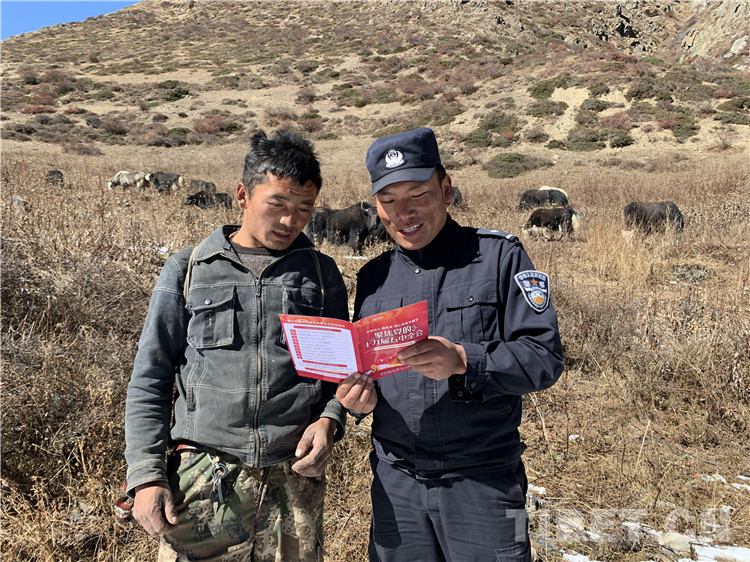 http://www.tibet.cn/cn/news/yc/202011/W020201115674846669431.jpg